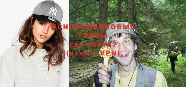 дживик Тутаев