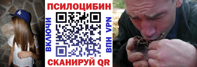 Купить закладки  Ак-Довурак  Псилоцибиновые грибы GOLDEN TEACHER 